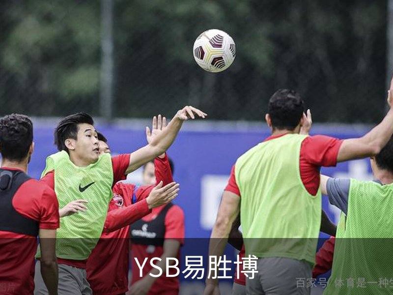 关于YSB易胜博